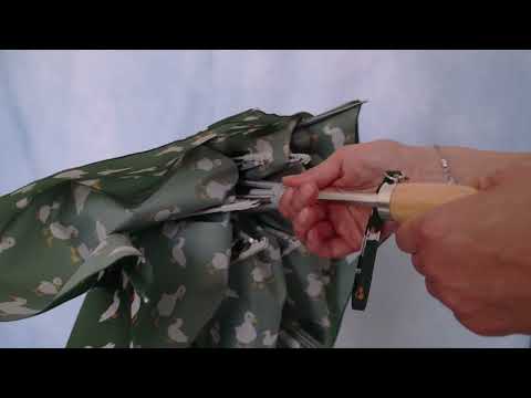 Видеообзор Женский зонт Fulton L926 Curio-2 UV Green Duck (Зеленая утка)