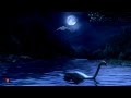 Ali Bin Ali Commercial 2