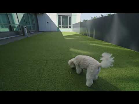 Troy Boston Apartments - South End - Boston