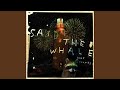 Live Off Lamb by Said The Whale