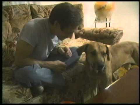 abnormal psychology multiple personalities