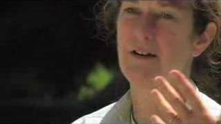 RiverWebs Trailer