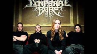 Cerebral Bore - Horrendous Acts Of Iniquity (OFFICIAL LYRICS)