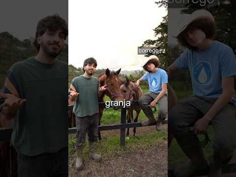 Cuántos animales tiene la granja del borrego.