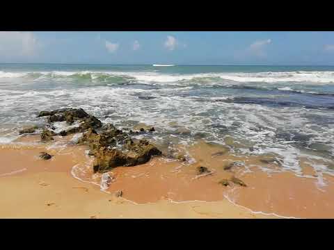 Hope mohan beach video(2)