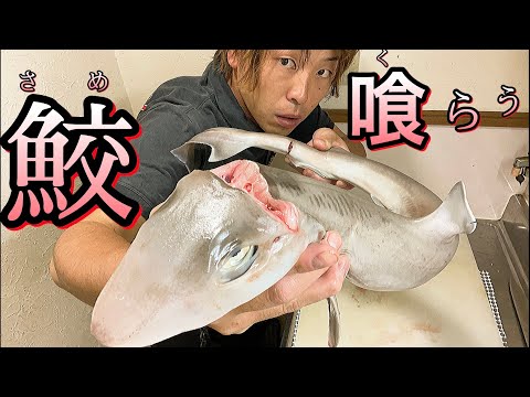 不味いイメージを全否定！旨いんです！【サメ】を捌く（釣って魚捌き動画#34）