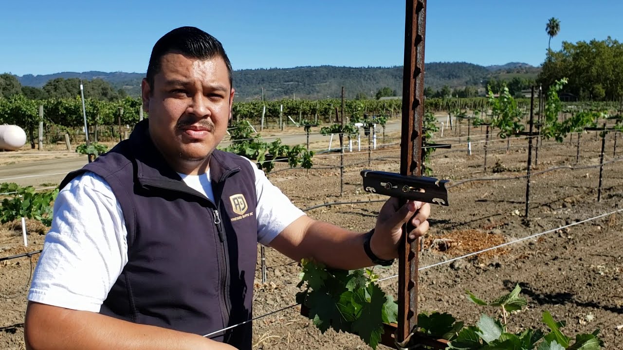 How to install a Crossarm on a T-Post for vineyards