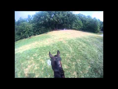 GVRDC Training Helmetcam