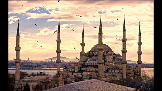 Saflı Cami Halısı Modelleri - Çelebizade Halı