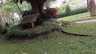 Download lagu video mentahan pemandangan alam indah mp3 Download lagu video mentahan pemandangan alam indah mp3