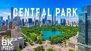 Central Park Like You've Never Seen Before 🌳| New York's Green Paradise | 8K UHD Scenic Relaxation