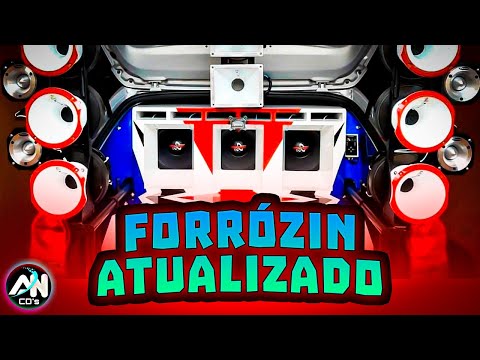 FORRÓZIN ATUALIZADO 2K24 - AS MELHORES MÚSICAS 2024 - SELEÇÃO PARA PAREDÃO - MTS NO BEAT