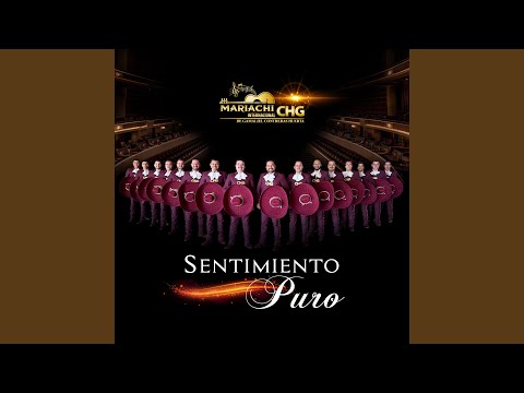 Para Qué Pides Perdón