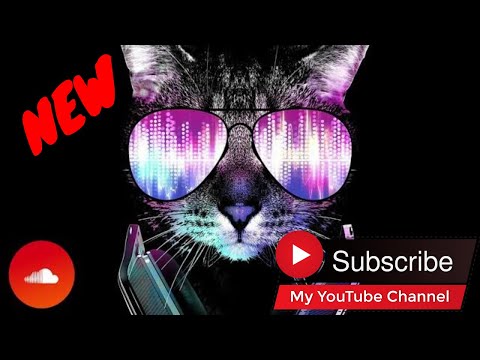 The Sponges - Funked Up 2020 ♥️