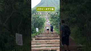 ハワイのハイキングコース紹介🥾🏔#ロサンゼルス #ハワイ #ハワイ旅行 #海外一人旅 #海外旅行 #オアフ島 #ハイキング #vlog #アメリカ #shorts