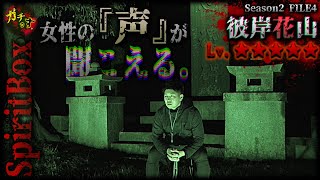 【心霊】スピリットボックスvs『女性の霊』で現場騒然の恐怖が…彼岸花山-予告編-【宮城県 閲覧注意 】Japanese horror spiritbox