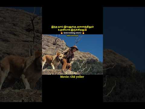 This dog is very intelligent and brave#shorts #short