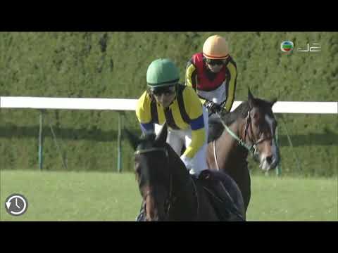 福永祐一 陳年美酒 13/10/2019 日本京都競馬場 三年坂特別賽 - 1600米 草地