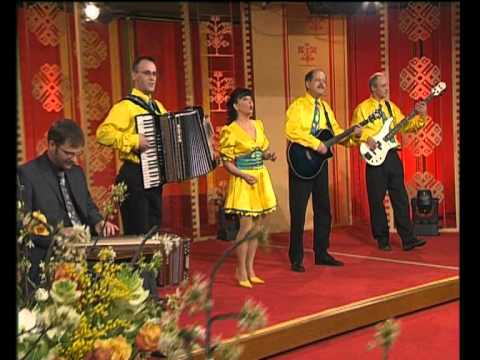 Ansambel TULIPAN - Kje mamica spi