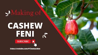 preview picture of video 'CASHEW FENI : The traditional way of making'