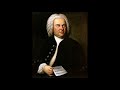 07 Cantata Nº 208, 'Sheep May Safely Graze', BWV 208 - johann sebastian bach