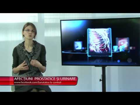 Nacht-Riser mit Prostatitis Guter Prostatamassager