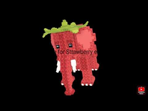 DUELS / PVP @ AYYSAIL NO PRIVATE DUEL MACHINE