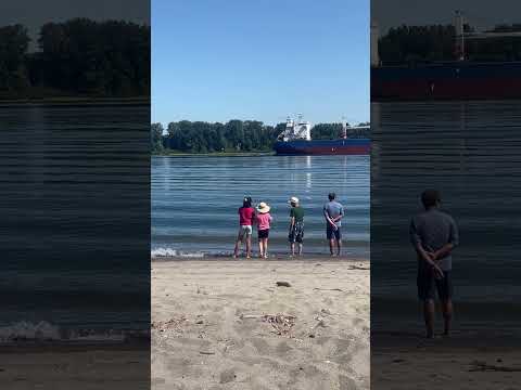 Amazing beach view with original sound of nature #utubeshorts