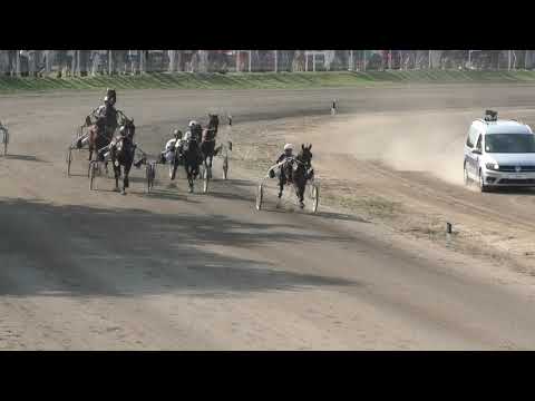 Trka "Living Line 2010" 28.06.2020 Fotta Royal - Bojan Pijuković