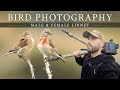 Bird Photography Irish Wildlife Male Female Linnet