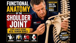 FUNCTIONAL ANATOMY of the SHOULDER JOINT