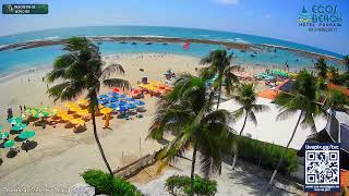 🔴 PRAIA DE PORTO DE GALINHAS AO VIVO 🌴 Pernambuco | Webcam PTZ 24H | BEACH LIVE #climabrasil live webcam