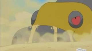 SAND HIPPO
