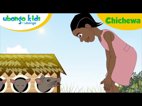 Gawo 1 (Chichewa): Kibena ndi ma Maths Rats | Gawo la Nkhani ya Ubongo Kids | Makatuni othandiza