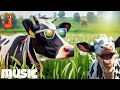 FUNNY COW DANCE 4│ Cow Song & Cow Videos 2024 | Cow dance mix | funny dancing gay | meri gaiya