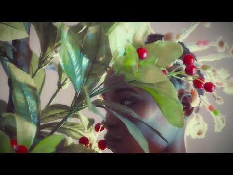 Gasha, “I’m Sorry”.