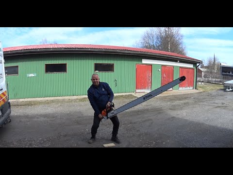 Kylän suurin kypärä