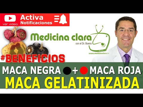 🔥 MACA GELATINIZADA DE ALTA ABSORCIÓN. Maca negra y maca roja juntas 2 en 1 | Medicina Clara