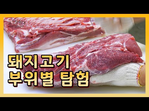 , title : '돼지고기 부위별 탐험! 부위별 용도와 가격대, 고르는 팁까지?!'