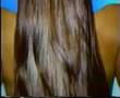 Organics Shampoo