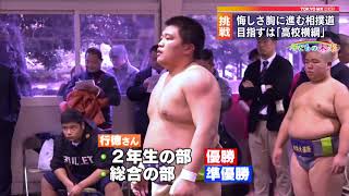 サンプル動画