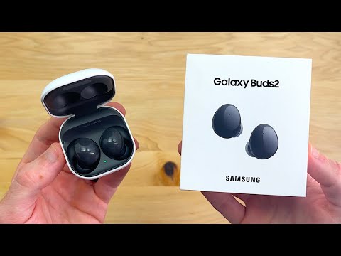 Samsung Galaxy Buds 2 Unboxing & First Impressions!
