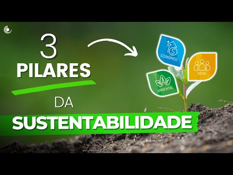 TRIPOD OF SUSTAINABILITY | What are the THREE main pillars of Sustainable Development? 🌱