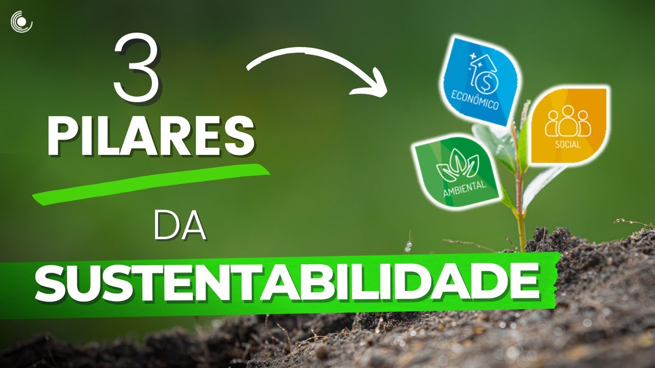 TRIPÉ da SUSTENTABILIDADE | Quais são os TRÊS pilares principais do Desenvolvimento Sustentável? 🌱