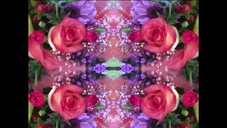 Dark End of the Street (by Linda Ronstadt live in Sausalito, CA on 11-18-73)