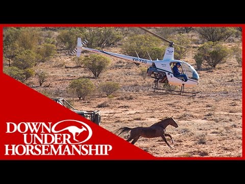 Clinton Anderson - Outback Adventure 2 of 14