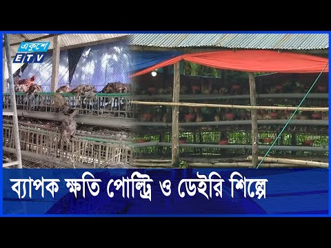 নামছে বানের পানি, দৃশ্যমান হচ্ছে ক্ষয়ক্ষতি