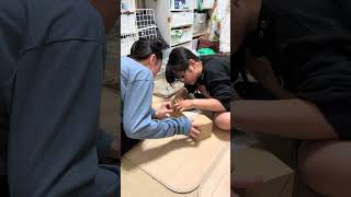 【ハムスターお迎え】　#ハムスター　#お迎え　#ペット　#癒し　#動物好き