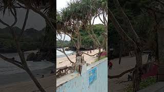 Download lagu pantai srau di pacitan jawa timur, salah satu wisata pantai terbaik #wisataalam #jatim mp3 Download lagu pantai srau di pacitan jawa timur, salah satu wisata pantai terbaik #wisataalam #jatim mp3