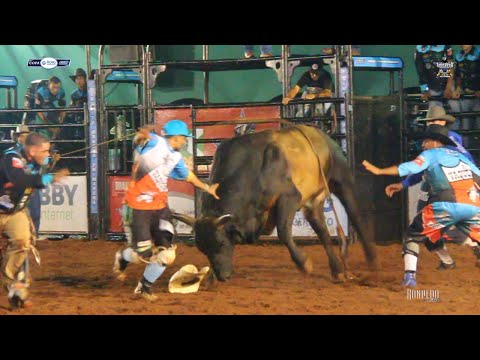 Ibirarema Rodeio Fest 2019 - TOUROS / QUINTA FEIRA